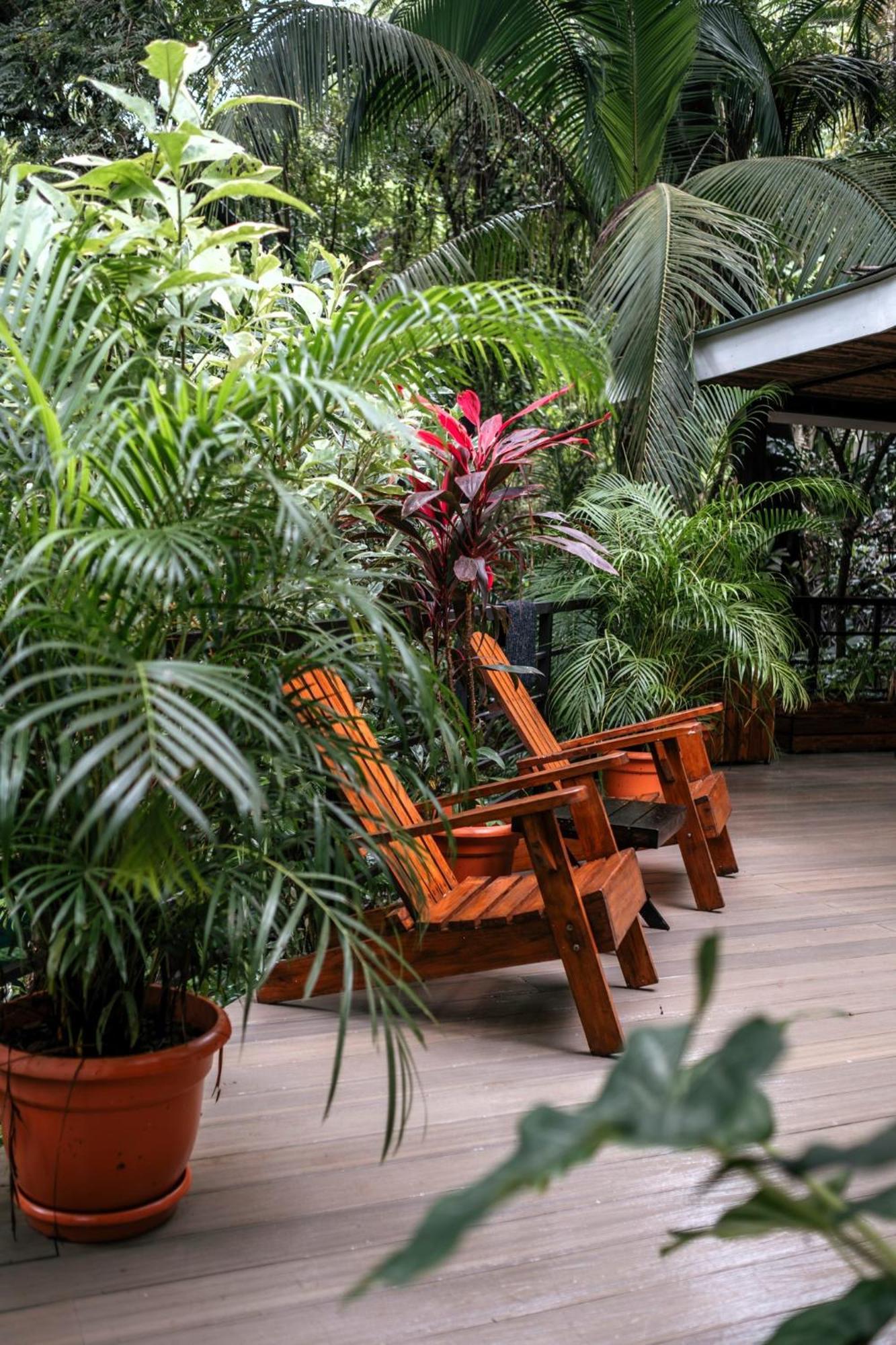 Makanas Beach Bungalows Playa Santa Teresa  Exterior photo